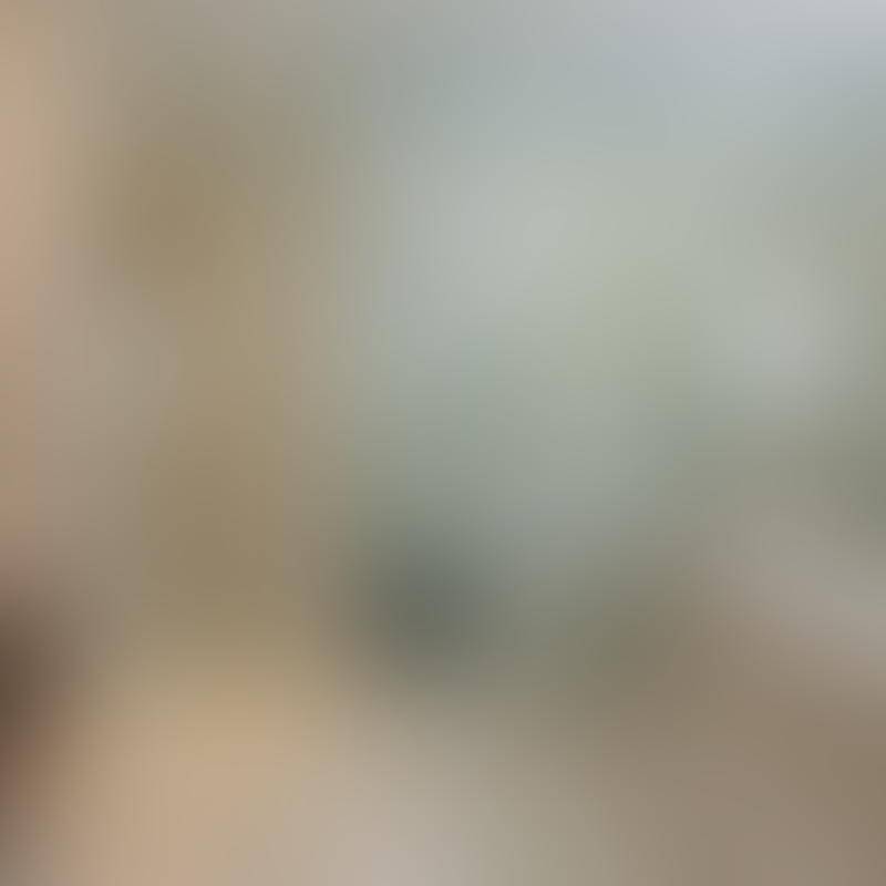 https://sierranevadaflooring.com/wp-content/uploads/2017/07/offer-big-06-800x800.jpg